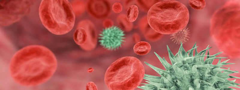 Das Bild zeigt Rote Blutkörperchen und grüne Zellen in einer 3d Illustration dar
